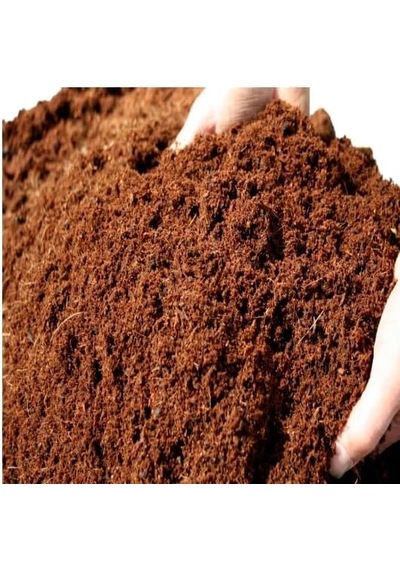 Kuzey's Store Hindistan Coco Cevizi Sıkıştırılmış Blok Torfu%100 Organik Doğal Cocopeat Bitki Toprağı,600-650 Gram 8/9 Litre Diğer