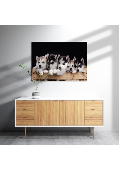 Cakasepetim Tahta Kasa İçinde Beş Husky Yavrusu Ahşap Mdf Tablo