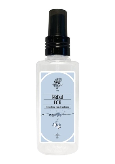 Rebul Aqua-ıce-dark Spice-pine Forest Plastik Şişe 125ml Set