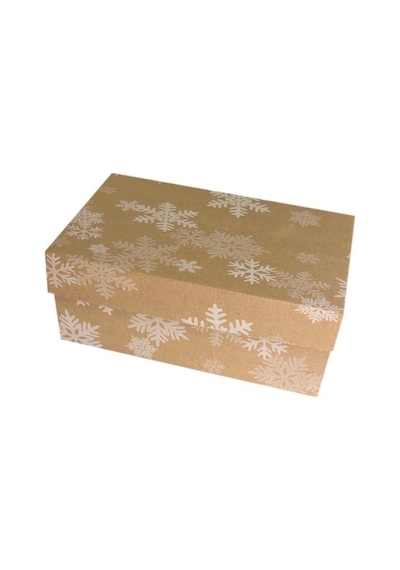 25X15X10 Cm E Ticaret Kapaklı Kargo Kutusu