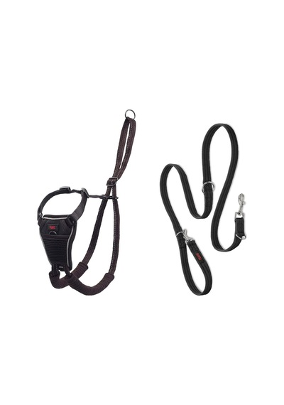 No Pull Yemek Takımı Ve Antrenman Tasması Kombi Paket, Stop Dog Pulling On Walks With Halti, Includes Medium Halti No