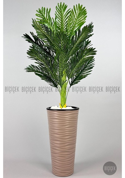Biçiçek Areka Ağaci 150 Cm Mocha Kumsal Saksıda Tek Gövdeli̇