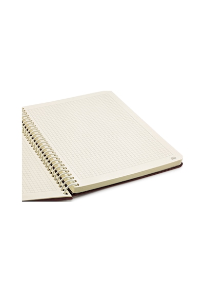 Mabbels Harry Potter Muggle Studies Butik Defter