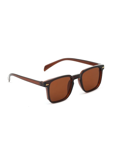Carmelo Eyewear C01gk016 Kahverengi Kadın Güneş Gözlüğü