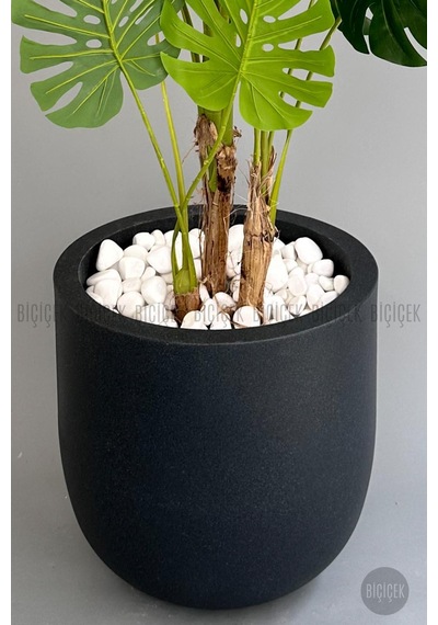 Yapay Monstera Ağacı Deve Tabani 180 Cm Antresi T Çeşme Saksıda Antresit