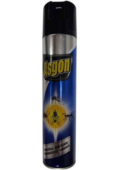 Asgon Haşere Öldürücü Sprey Aerosol 300 ML