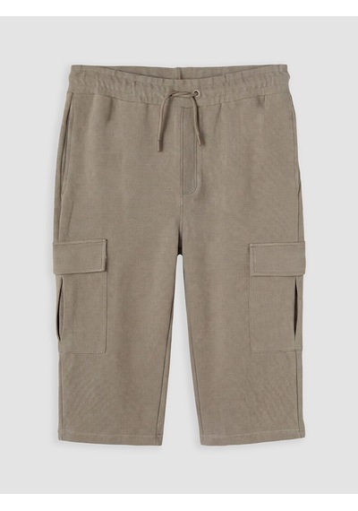Lcwaıkıkı Classic Kahverengi Regular Fit Erkek Kargo Şort