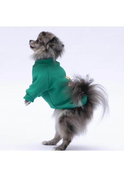 Yeşil Chongqing Kedi Köpek Sweat- Kedi Köpek Kıyafeti