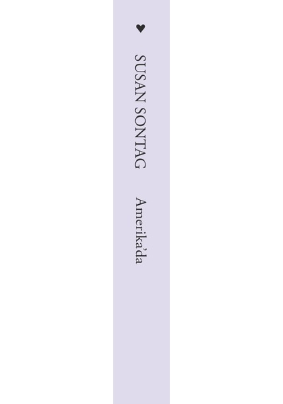 Amerika'da - Susan Sontag - Can Yayınları
