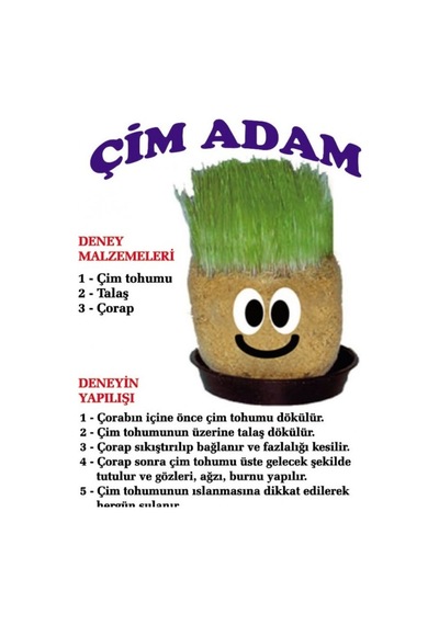 Çim Adam Yapım Seti. Çimlendirme 5 Adet. Eğitici Çim Adam