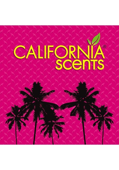 California Car Scents Santa Barbara Berry Dut Oto Kokusu