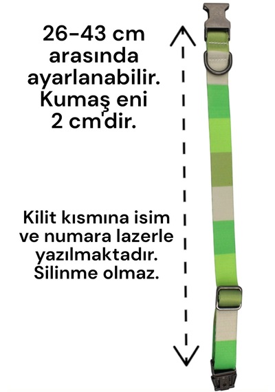 Caramelos İsimli Köpek Tasması, Köpek Künyesi, Köpek İsimlik 07 Açık Yeşil
