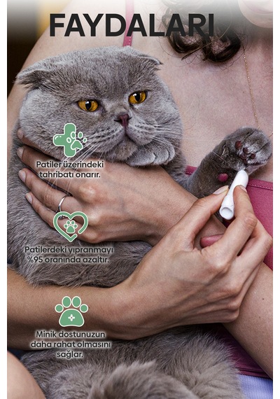 Hipet Kedi Cannabis Pati Stick 5 G
