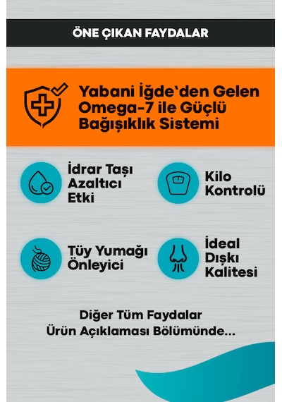 Peritas Signature Somonlu Kısırlaştırılmış Yetişkin Kedi Maması 10 KG