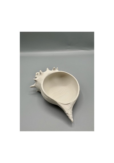 Deniz Kabuğu Kase 2 Modern Dekoratif Kase 3d Baskı Minimalist Deniz Temalı Obje