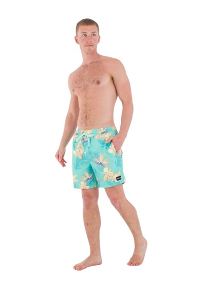 Hurley Hurley Cannonball 17 Erkek Volley Short 6659 Çok Renkli