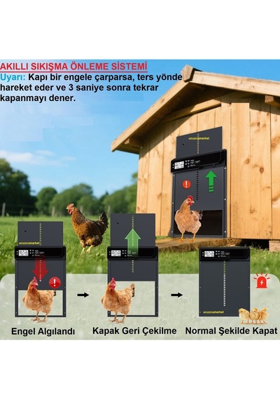 Kümes Kapısı Otomatik Elektrikli Adaptörlü Programlanabilir Dijital Ekranlı