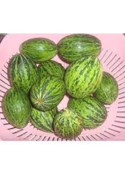 15 Adet Tohum Kelek Tohumu Turşuluk Kelek Tohumu Yeşil Kelek Sürp