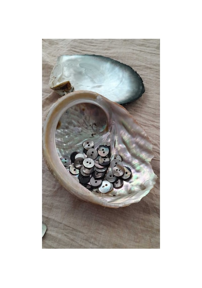 Doğal Hakiki İnci Midye Kabugu Düğme 18 Mm 6 Adet