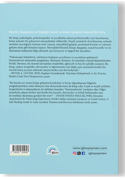 Nöroafektif Resimli Kitap Gelişimsel Nöropsikolojiye Görsellerle Giriş