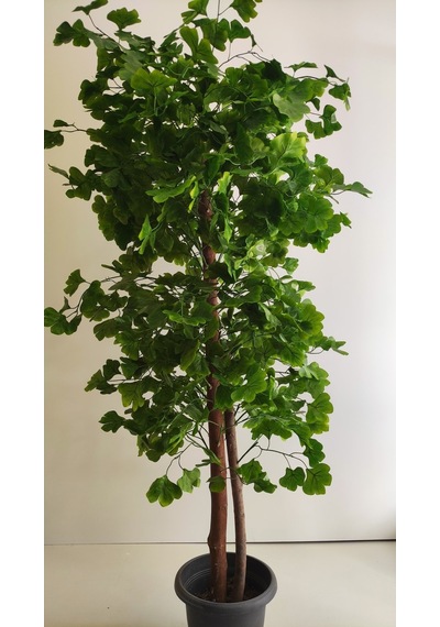 Rüzgar Yapay Çiçekçilik 180 Cm Yeşil Sakura Ağacı Yeşil