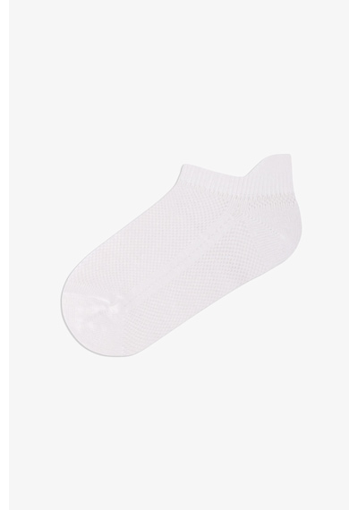Penti Renkli Erkek Çocuk Serenity 4 Lü Tab Patik Çorap Çok Renkli