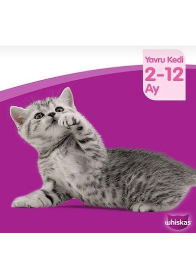 Whiskas Junior Kümes Hayvanlı Yavru Kedi Konserve Maması 85 Gr 6 Adet