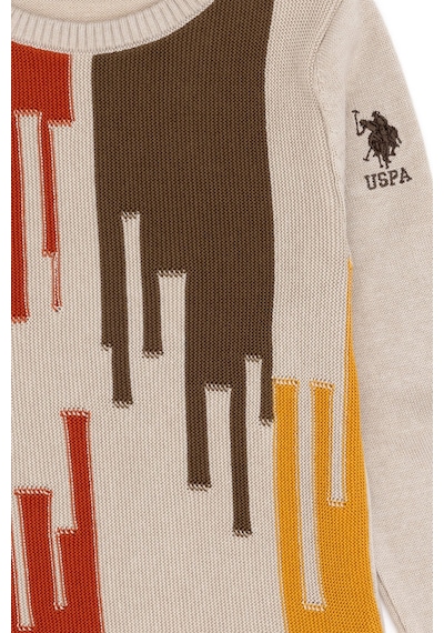 U.S. Polo Assn. Erkek Çocuk Taş Bisiklet Yaka Kazak 50293050-VR049