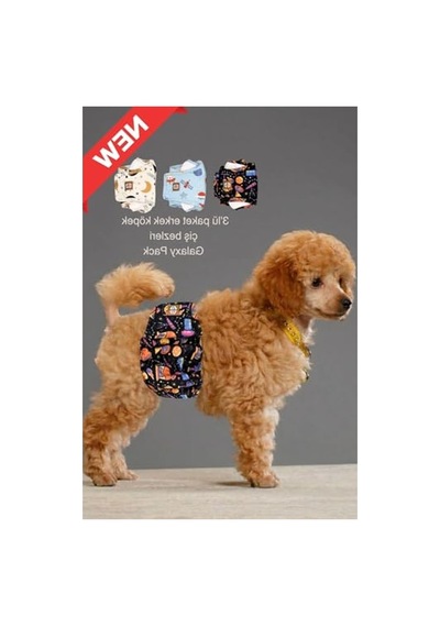 Erkek Köpek Çiş Bezleri, 3'lü Avantajlı Paket