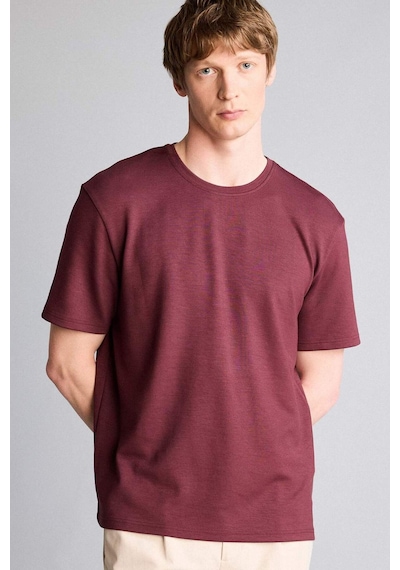 Defacto Basic Kısa Kollu Tişört H2438ax26spbr304 Bordo-br304