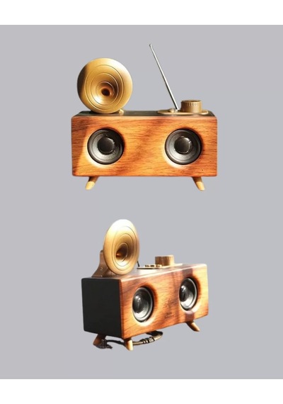 Home Çift Hoparlörlü Bluetooth Gramofon Speaker Fm Radyo, Usb, Sd Kart Ve Aux Girişli