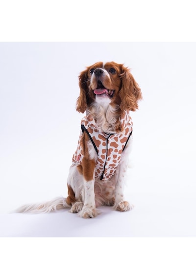 Moshi Mood Zürafa Desen Yelek Köpek Yeleği Köpek Kıyafeti Köpek Yağmurluk