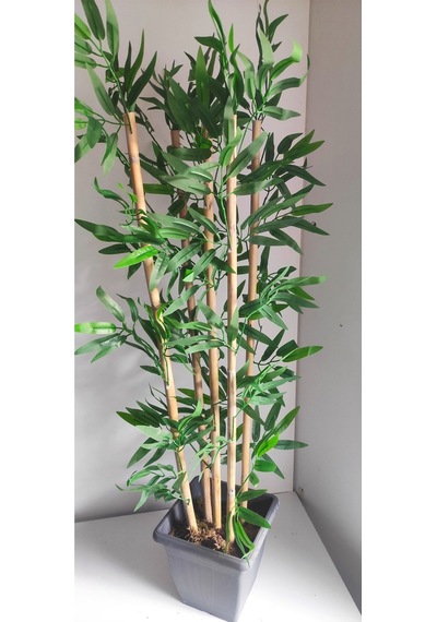 Rüzgar Çiçekcilik 110 Cm 5 Li Bambu Yeşil