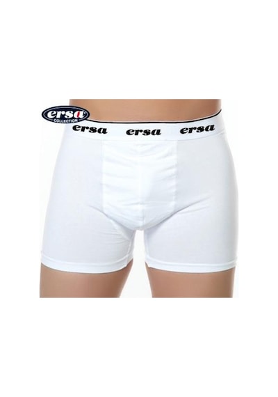 Ersa Erkek Bambu Boxer Asorti Renk 5 Adet E121