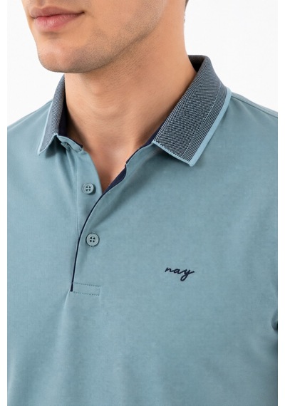 Raymons Erkek Polo Yaka Kısa Kollu Tişört Regular Kalıp T3000 Bgl-st05555 Açık Yeşil
