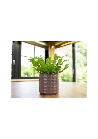Pembe Renkli Seramik Saksı 14x13 Cm -