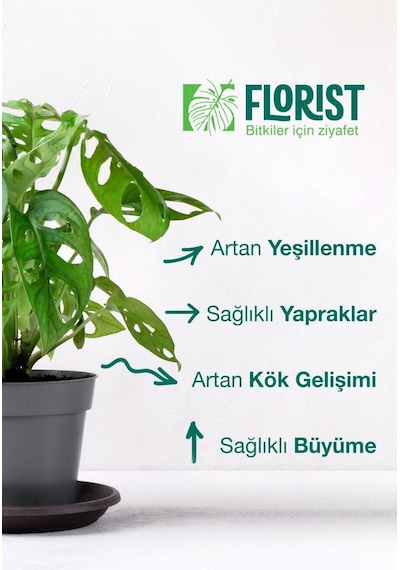 Florist Yeşil Yapraklı, Çiçekli Ve Orkide Bitki Besleme 3'lü Set