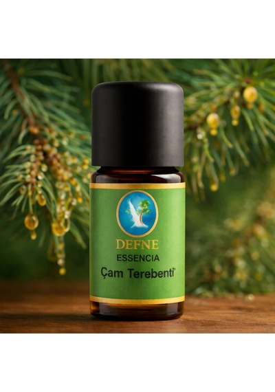Çam Terebenti Organik %100 Saf Uçucu Yağ 5ml