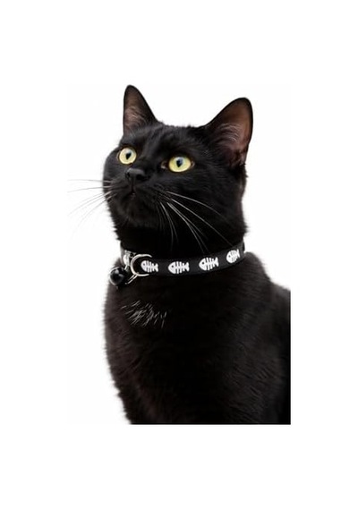 Kedi Boyun Tasması Zilli Ve Ayarlanabilir Siyah
