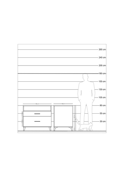 Kronos Şifonyer Tek Raflı 2 Çekmeceli 88x59x80 Çam-çam Çam