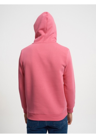 Erkek Sweatshirt Lf2034269 Pembe