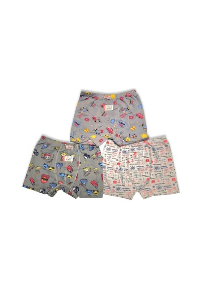 Ceylanoğlu Erkek Çocuk 3'lü Boxer Mavi