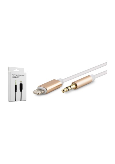 1 Metre Lightning To AUX 3.5mm 2 Boğum Jack Çevirici Dönüştürücü