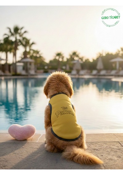 Sarı The Patron Yazılı Kedi Ve Köpek Kıyafeti Tişörtü Elbisesi Medium/m/beden 2