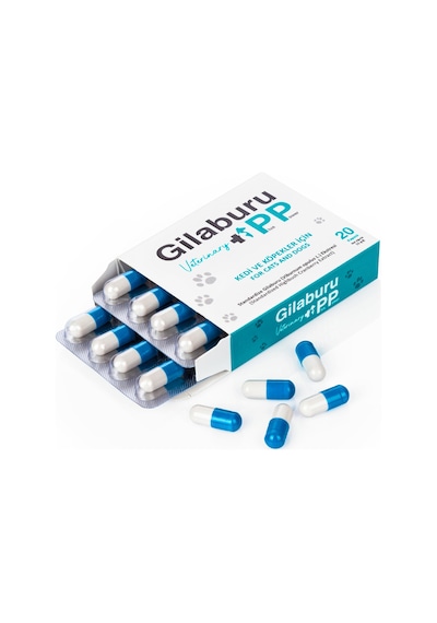 Gilaburu Pp Vet 20 Kapsül