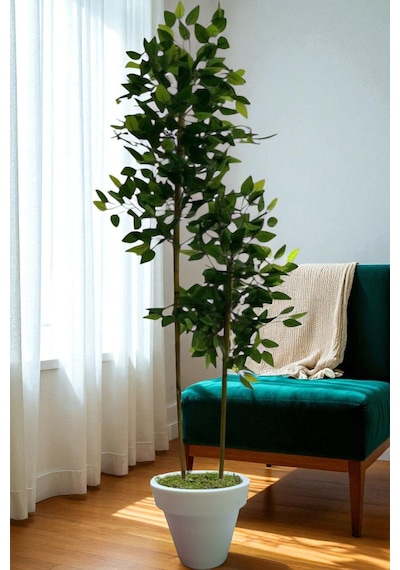 120 Cm Benjamin 2 Çubuklu Beyaz Plastik Saksı Yeşil