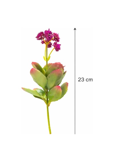 Yapay Adenium Obesum Dekoratif Saksılı Yapay Çiçek Salon Ofis Masaüstü Bitkisi Nocolor-004ac8c4 Nocolor-004ac8c4 Yapay Adenium Obesum Dekoratif Saksılı Yapay Çiçek Salon Ofis Masaüstü Bitkisi Nocolor-004ac8c4 Nocolor-004ac8c4