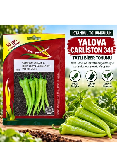 Biber Yalova Çarliston 10 Gr