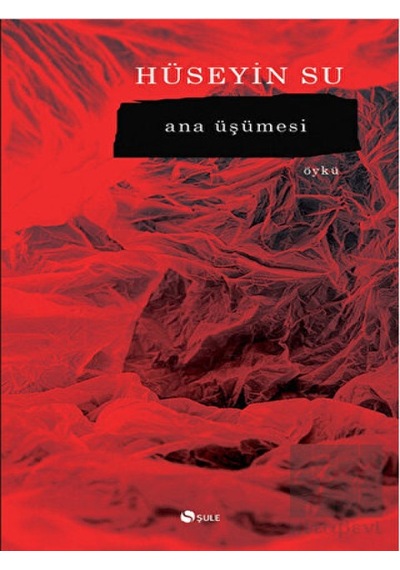Ana Üşümesi - Hüseyin Su - Şule Yayınları