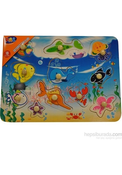 Okyanus Canlıları - Ahşap Puzzle Yerını Bul